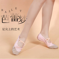 Adult childrens dance shoes soft-soled practice shoes girls cats paw shoes dancing shoes canvas yoga shoes ballet shoes