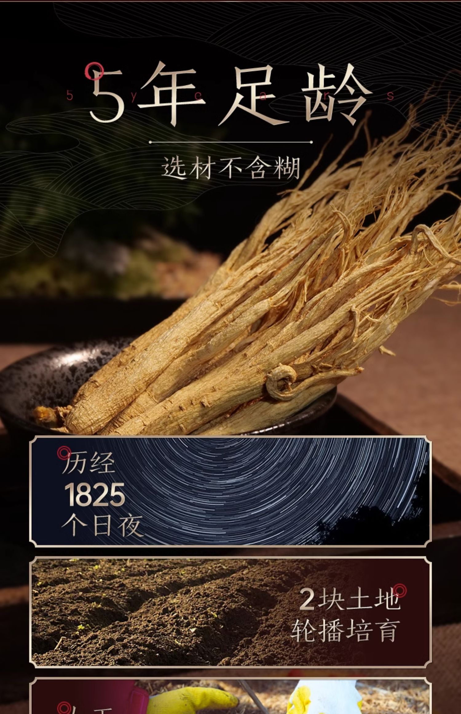 国家地理标志产品 长白山人参 全须生晒参礼盒 20g盒装*4件 双重优惠折后￥99包邮 附赠2个礼袋