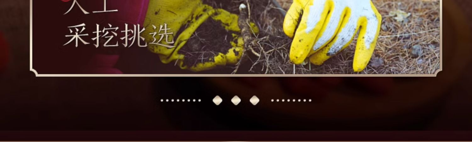 国家地理标志产品 长白山人参 全须生晒参礼盒 20g盒装*4件 双重优惠折后￥99包邮 附赠2个礼袋