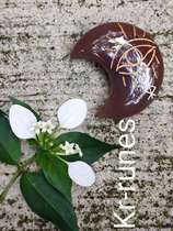 The Wisdom Eye Natural Manau Moon Energy engraving pendulum for handmade Gypsy