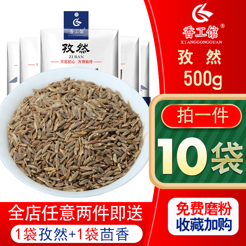 Zizungrain 500 gr Xinjiang paparazzi grain self-pollino-pore barbecued powder noodle seasoning in bulk semi-crumbly pure
