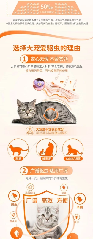 Tẩy giun trong ống nghiệm mèo tẩy giun trong ống nghiệm ngoài mèo điếc tai mèo in vitro và mèo in vitro - Cat / Dog Medical Supplies