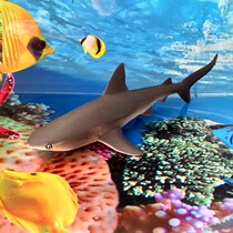 Childrens toys American safari marine life new gray reef shark static animal model doll specials