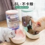 Pet mèo tự động trung chuyển mèo thức ăn cho chó bát nước uống nước mèo mèo cung cấp thức ăn cho chó thức ăn cho mèo 	mua bát ăn cho chó	