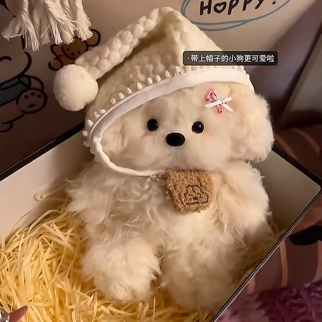 Handmade DIY Recordable Puppy Doll Material Kit, Hand-Sewn Plush Toy, Gift for Girlfriend's Birthday