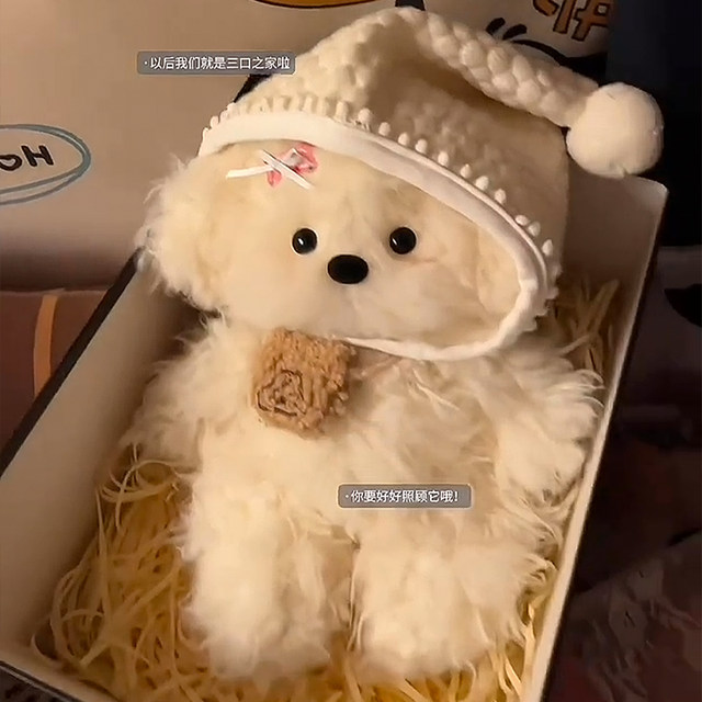 Handmade DIY Recordable Puppy Doll Material Kit, Hand-Sewn Plush Toy, Gift for Girlfriend's Birthday