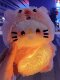 Recording, Bubble-Making, and Glowing Little Beaver Kt Cat DIY Handmade Plush Toy Squeaky Kedi Cat Plush Pendant