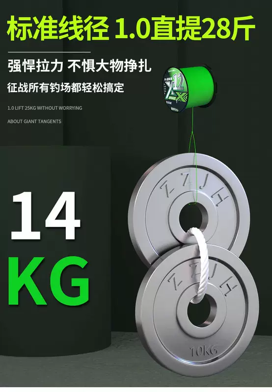 Nhập khẩu 12 dây bện ygkpe chính hãng 500m Luya dòng pe đặc biệt dòng chính mịn chịu mài mòn dòng marlin mạnh mẽ PE cước câu cá chống xoắn cước câu cá sunline
