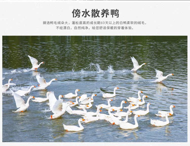 Blouson homme QZHIHE    en Nylon - Ref 3121621 Image 14