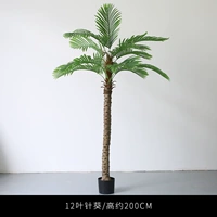 Акупунктура 2,0 метра, 12 листов