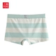 Quần đùi nam Sanfu Tóm tắt Quần sọc rộng Lycra Cotton Quần bó góc 388385 sịp nam đẹp Võ sĩ quyền Anh
