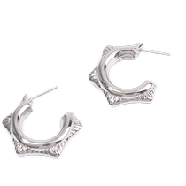 Sanfu casual snakeskin pattern hoop earrings pair temperament fashion design earrings jewelry 834434