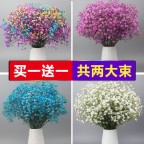 Starry bouquet stalls home decoration ornaments dried flowers flowers real flowers high-grade love home decoration soft decorations