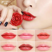 Rose Petal Lipstick Lasting Color Giữ ẩm Giữ ẩm Jelly Lipstick Bưởi Bí ngô Màu dì black rouge a07