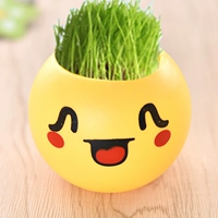 Застенчивое растение