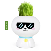 Люблю крутая кукла (любимая трава)