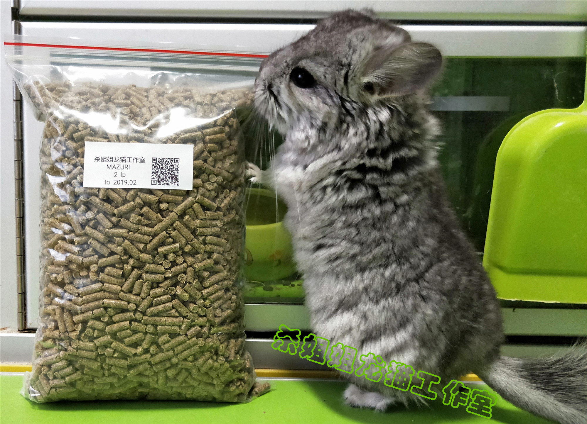 Mazuri MAZURI Totoro 2 lbs. spot fidelity