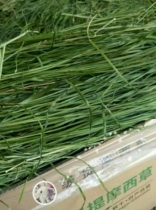 2019 high-quality drying premium Timothy grass seedling whole-leaf boutique grass hay