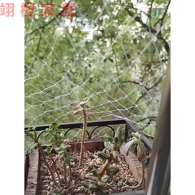 Orchard fruit tree bird-proof nets Grape Cherry Greenhouse balcony Anti-bird use nets Pond Breeding Sky Nets Nylon Nets Outdoor