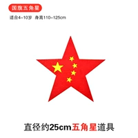 25 см национального флага Pentagon Pine Model