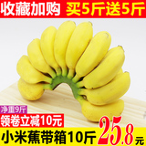 乐维士 小米蕉 带箱10斤 果净重9斤 2-4串 券后25.8元包邮 (35.8-10)