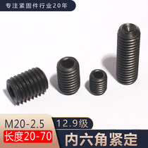 45H-DIN913 metric alloy steel hexagon socket flat end tightening screw base meter screw top wire M20-2 5