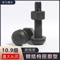 10 Class 9 M20 high-strength torsion shear screw round head steel structure connecting secondary bolt