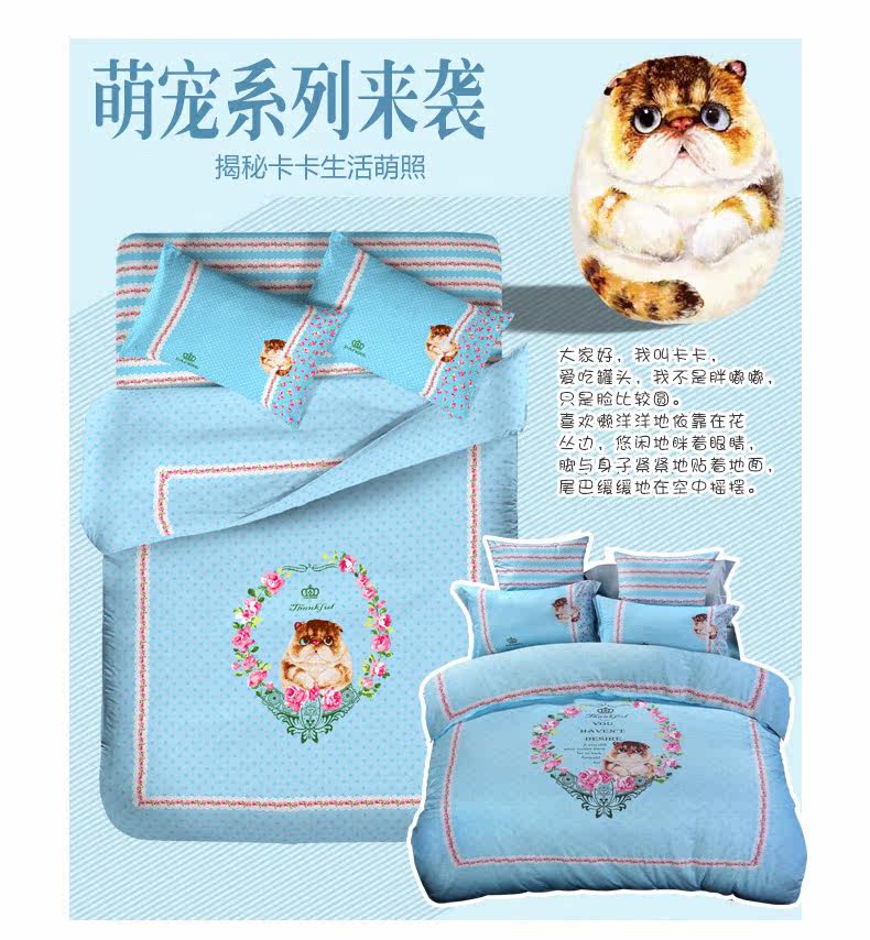 Симпатичный питомец Big Face Cat_02.jpg