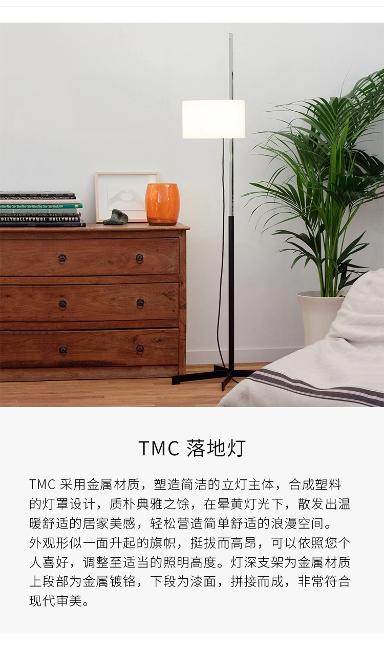 TMC TMM TMM ТРЕМЕННЫЙ ТРУМА