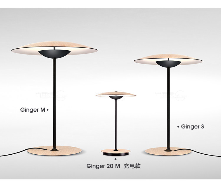 Джинджер настольный лампа_08.jpg