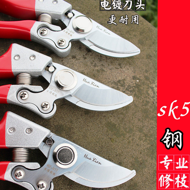 Pruning shears Pruning shears Branch shears Gardening shears Garden shears Fruit tree shears Flower shears Japan German Mulberry shears