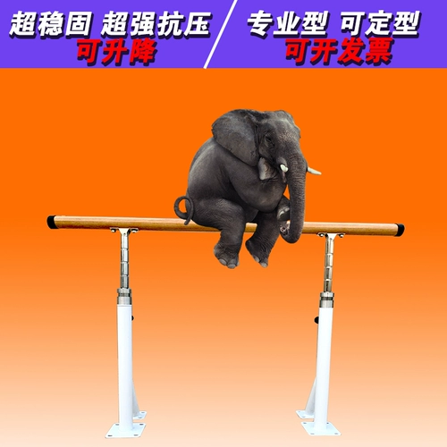 Dance Plus -dilee -To -полная подъемная фиксированная танцевальная мебель танце