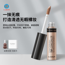 Thesaem Fresh Concealer Pen Facial Freckle Covering Acne Spot Concealer Moisturizing Waterproof