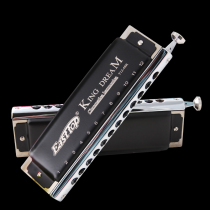 easttop 12-hole chromatic harmonica Golden Dreamer 1248K Beginner C-tone harmonica chromatic scale