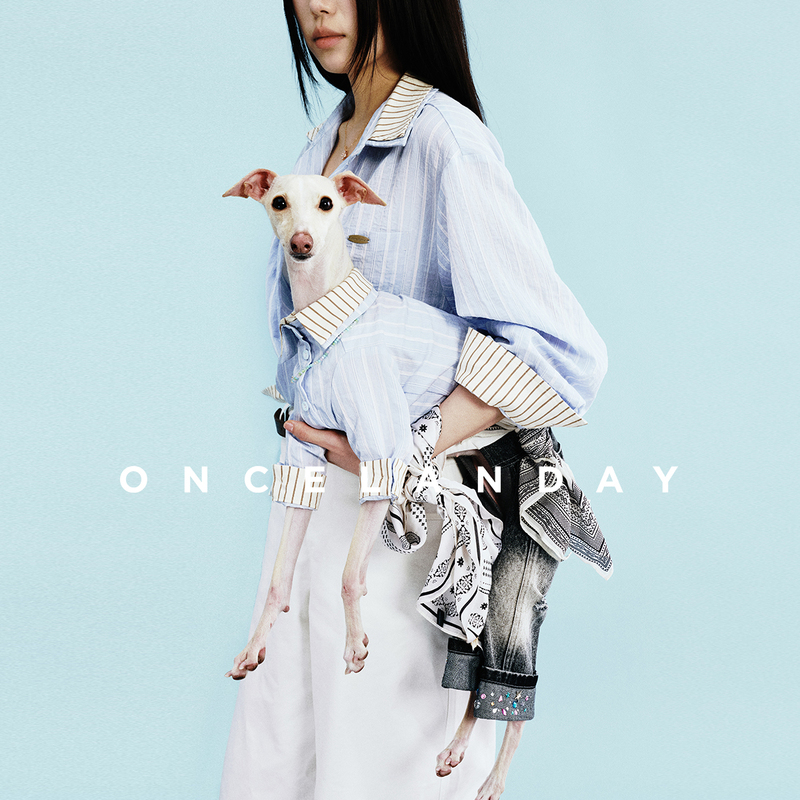 Oncelanday2026 Spring Detachable Collar Shirt