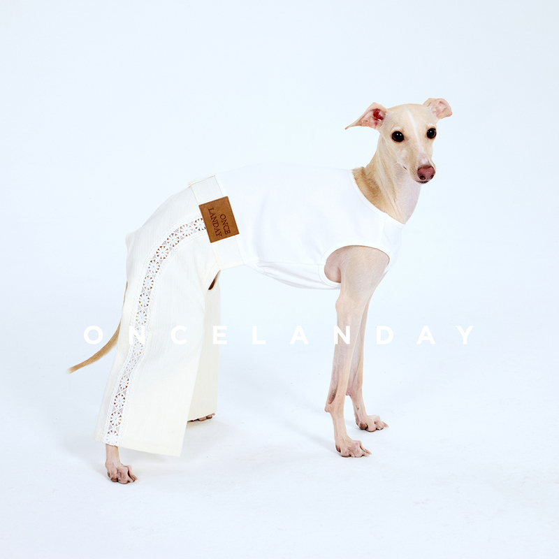 Oncelanday 2025 Autumn New Product Little Greyhound Whippet Hollow Lace Silhouette Patchwork Jumpsuit