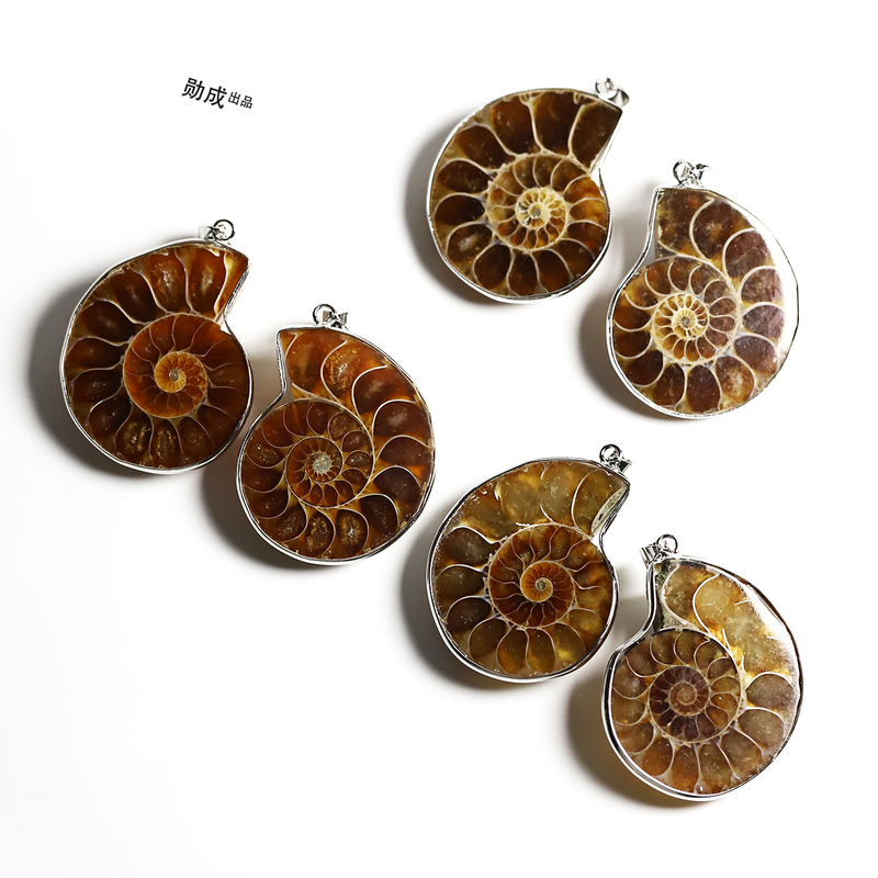 M12 Colorful Snail Pendant Ammonite Slice Paleontology Fossil Jade Snail Couple Gift Teaching Tool