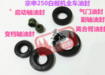Off-road motorcycle Zongshen 250 engine CQR shift lever starting Rod countershaft full car oil seal