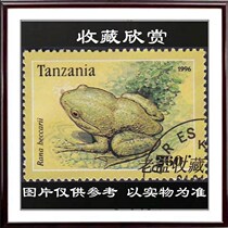 Collection Rana Reptile Stamp (rana beccarii) Foreign Cancellation Y595