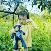 ten Zhan Botanical Dye Blue Dye Type Paste Dye Collared Collab Small Bear Doll Fabric Hand Made 