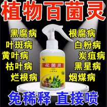 Flower special degeria nutrient solution Insecticide Flower Fungus Spirits Free to Dilute Germicidal Spray Fertilizer Plant Universal