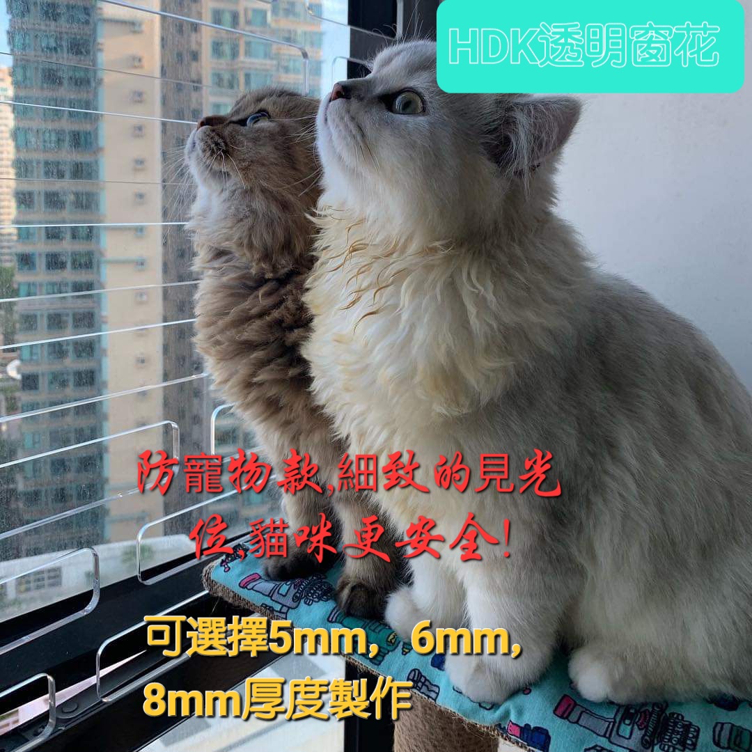 窗户上的隐私卫士：透光不透明的防护新宠