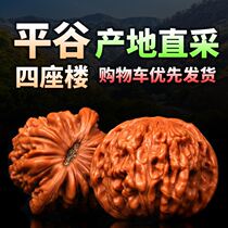 Old man to solve the problem of boring artifact play walnut lion head antique hand plate walnut hand piece old tree real walnut carry with him