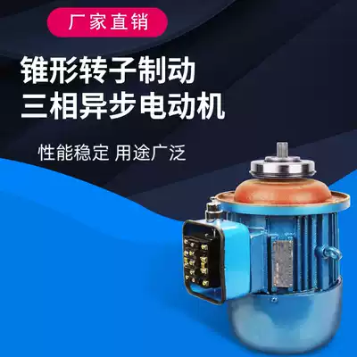 Nanjing Jiangling electric crane main lifting motor ZD type tapered rotor motor 1 5KW~13KW