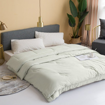 Cotton mother quilt two-in-one zipper quilt quilt core cotton spring and autumn thickened warm winter quilt