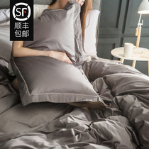  100 pieces of cotton four-piece satin plush cotton solid color simple cotton quilt sheets bed sheet bedding