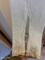 ZX66119 pants and butterfly bow tie