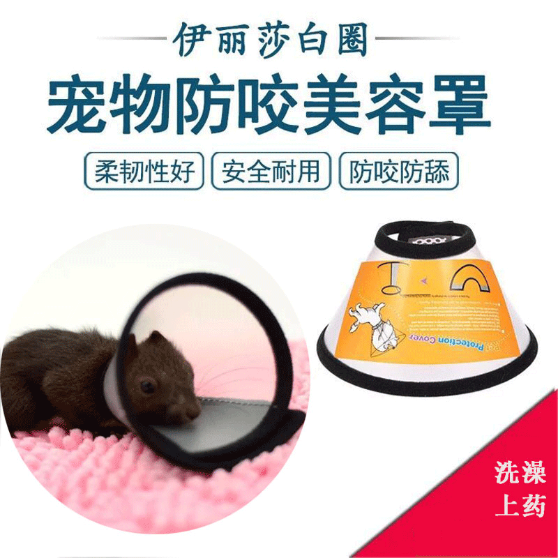 Honey bag Squirrel squirrel Anti-bite ring Elizabeth Circle hamster Small Favorites for a bath Anti-lick on the anti-Self-inflicted lap