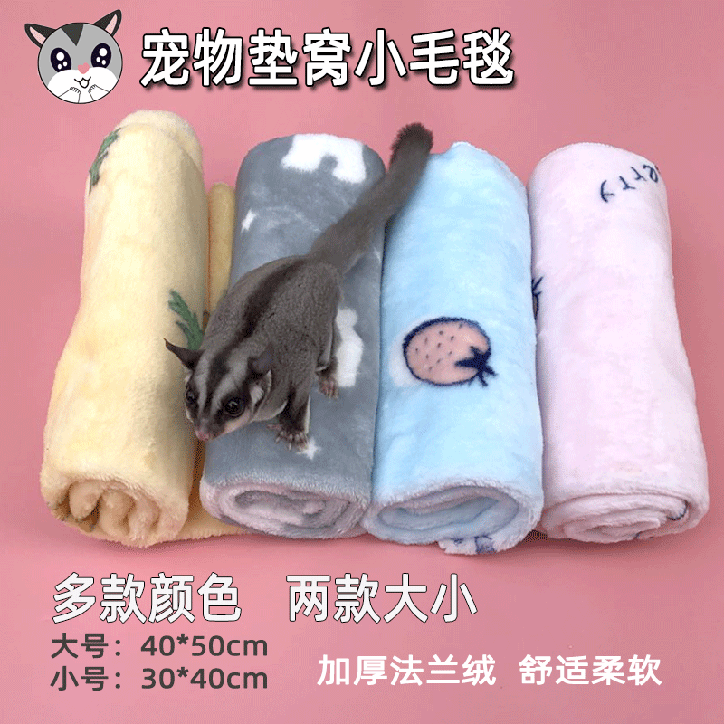 Honeybag Magic King Squirrel king squirrels Hedgehog Dragon Cat Big Eyed Flying Squirrel with Padded Warm small blanket Pets Warm Supplies