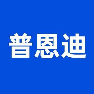 PUENDI普恩迪数码摄影配件的LOGO